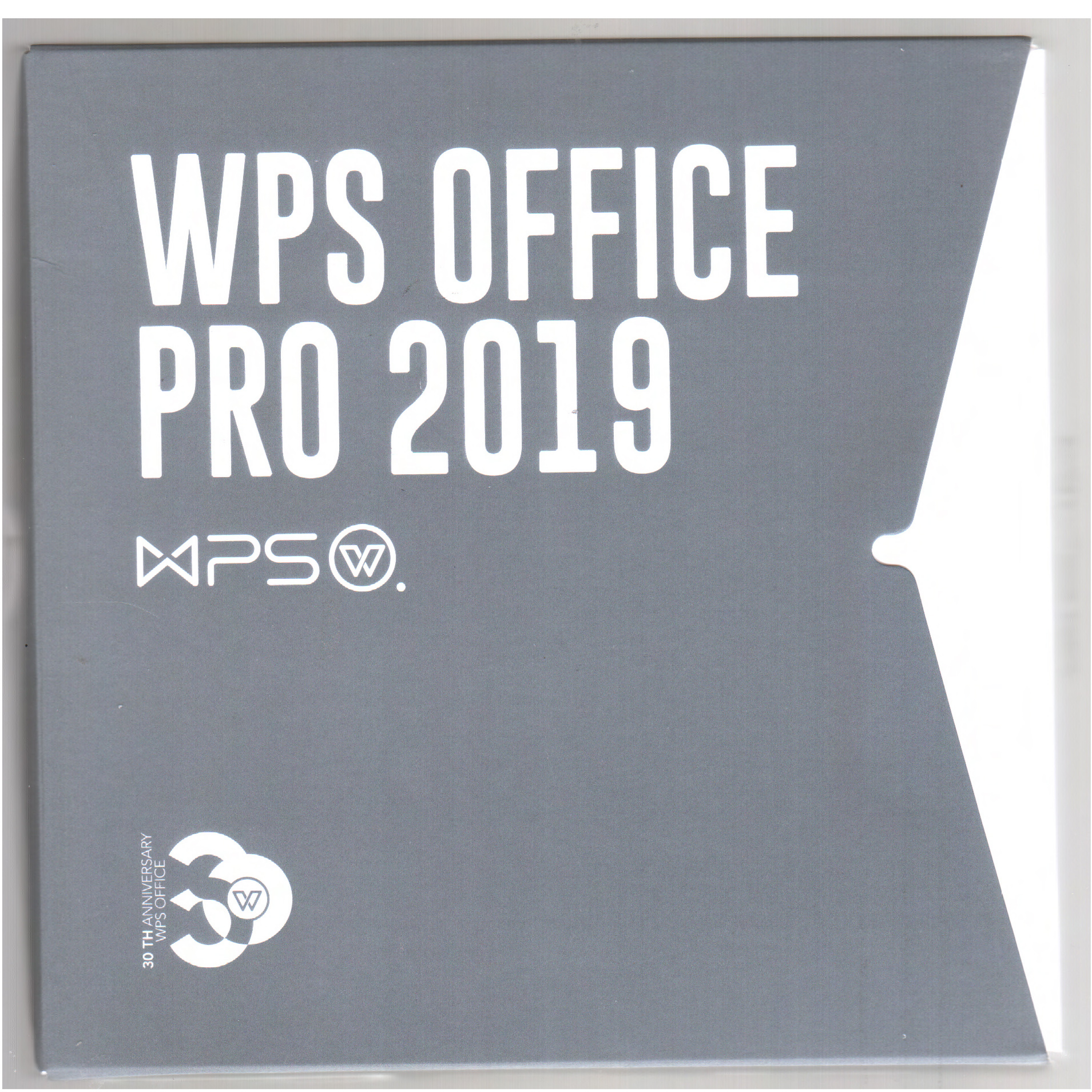 WPS Office 2019 專業版(政府專用) 辦公套件